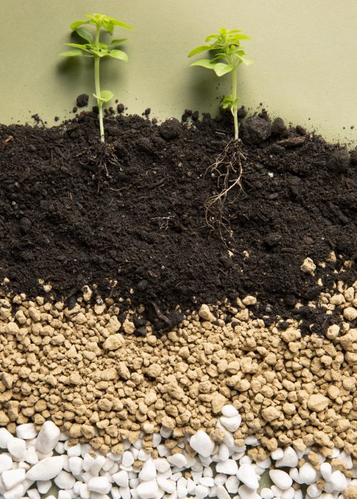 Soil Absorbtion 2 (1) Soil Absorbtion 2 (1)
